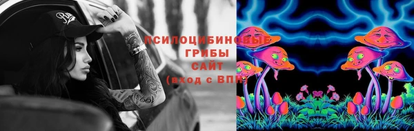 бошки Армянск