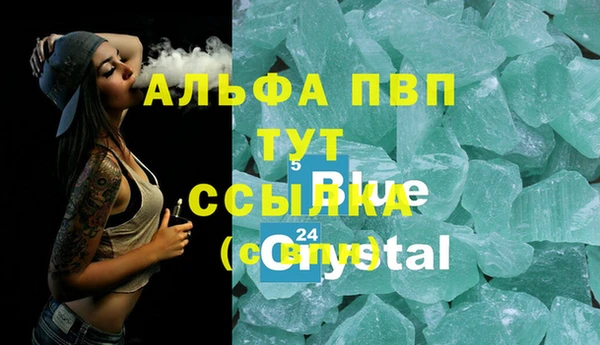 трава Аркадак