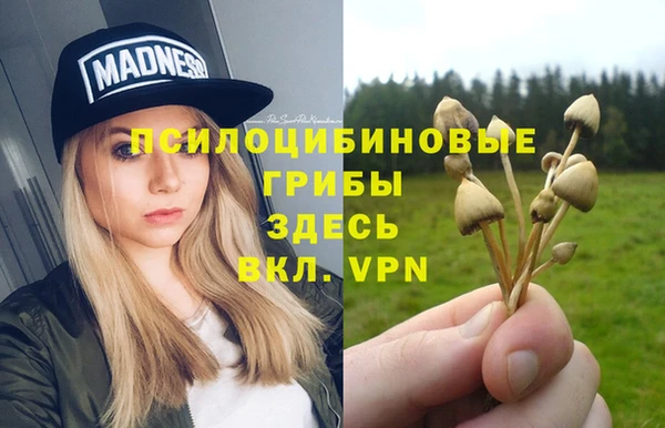 герыч Арсеньев