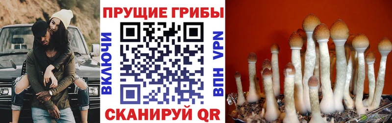 Псилоцибиновые грибы мухоморы  Арск 
